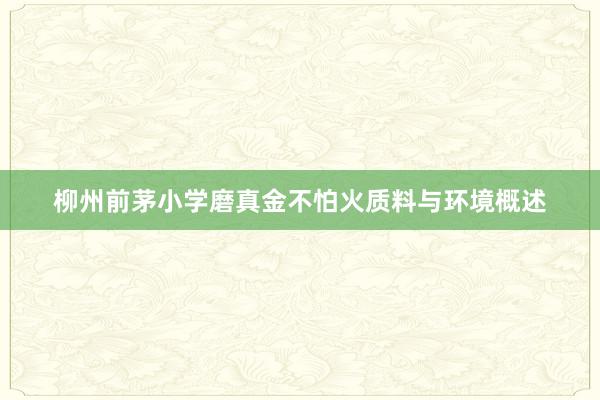 柳州前茅小学磨真金不怕火质料与环境概述